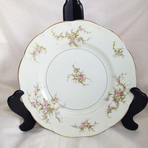 Elegant Vintage Rosalinde China Dinner Plates
